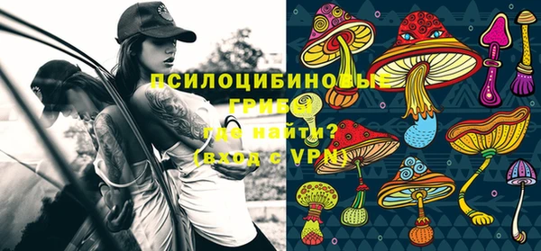 стафф Богданович