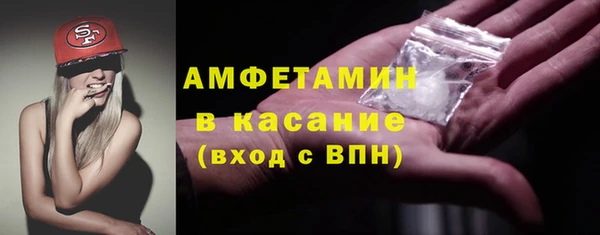 амф Бородино
