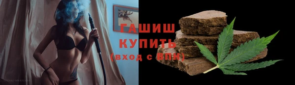 амф Бородино
