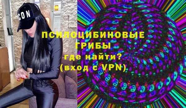 стафф Богданович